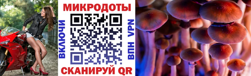 что такое наркотик  Верхотурье  Псилоцибиновые грибы мицелий 